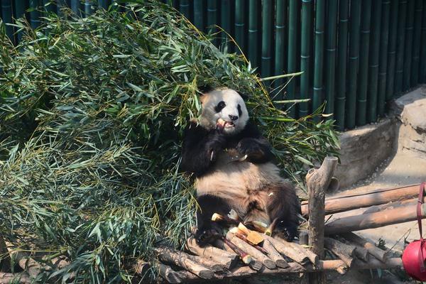 a股8月增持月报:哪些公司被重要股东大额增持?电力巨头增持计划创a股纪录