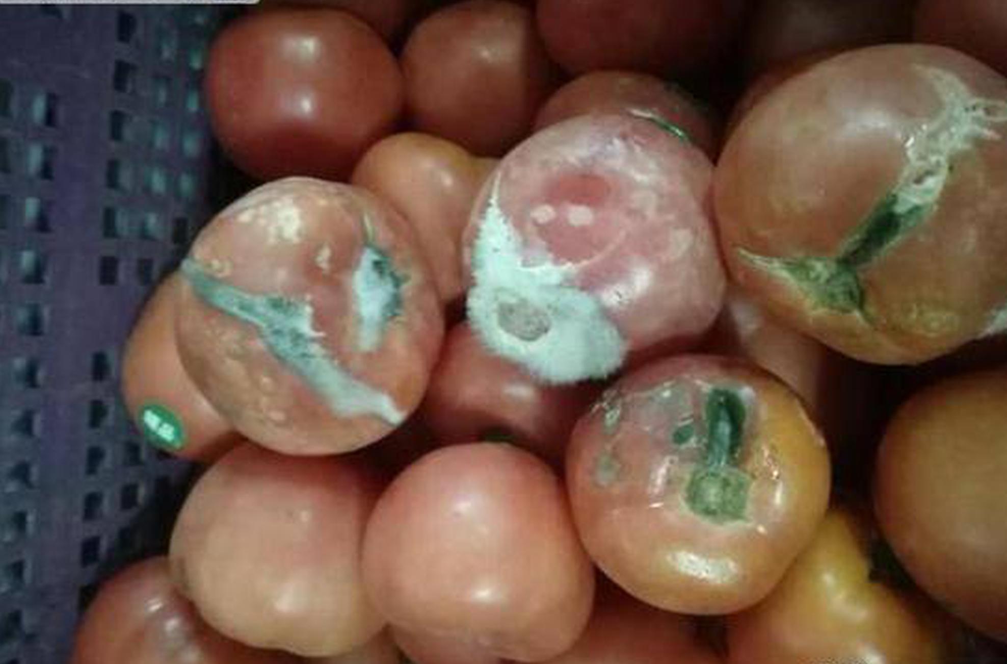 白鹿每次憋哭就这样