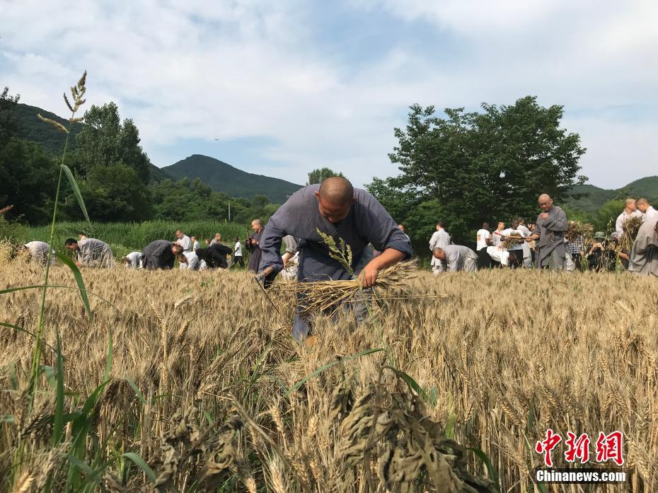 沃华医药董事张戈减持251万股完毕