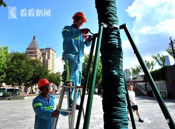 外界猜测这月降息 白宫今日开始面试美联储主席候选人