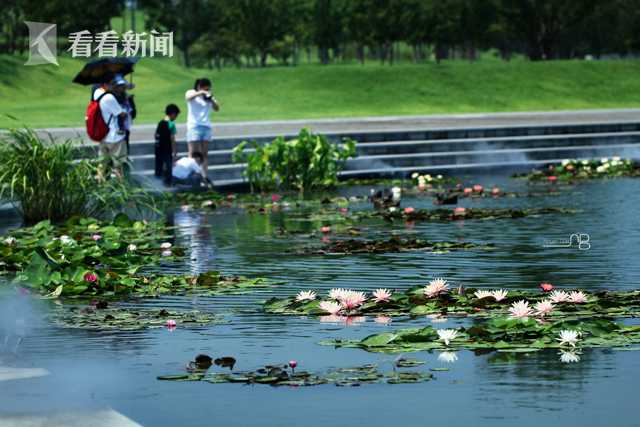 小伙街头滑滑板炫技撞倒护栏