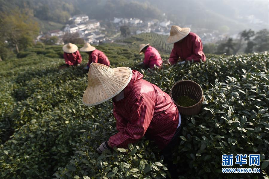 光大期货能源化工类日报9.12