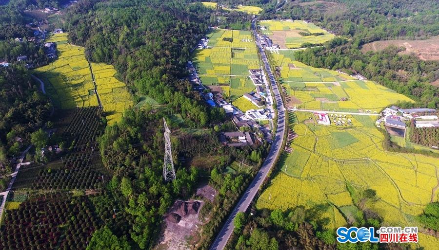 聚杰微纤：子公司肌动科技针对仿生驱动纤维产品所开展的应用研发工作，处于有序推进的进程中