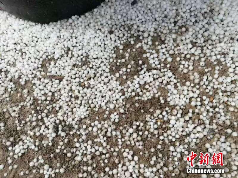 新大洲a遭遇债权人“发函催收” 涉及金额2.45亿元，占净资产比例达108%