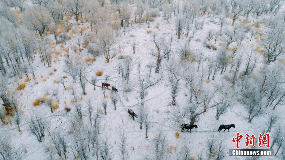 三上悠亚影视、音乐与写真作品资料整理示意