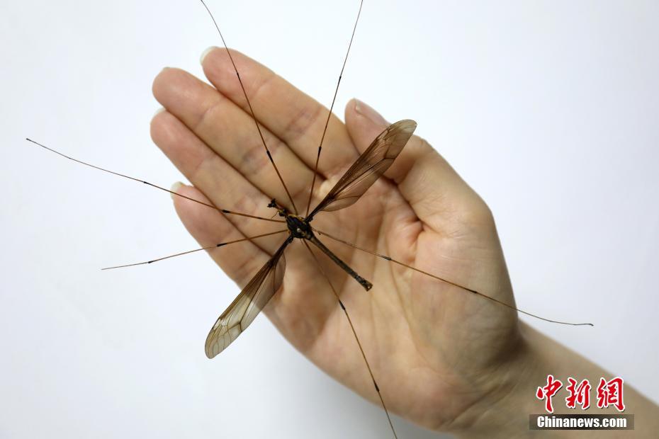人民币“朋友圈”稳步扩容