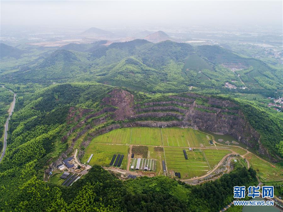 网络人物志第220期：阁下有诈