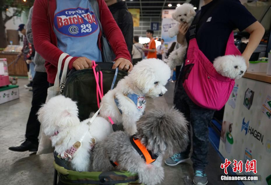 德林海：上半年归母净利润亏损309.28万元，同比盈转亏