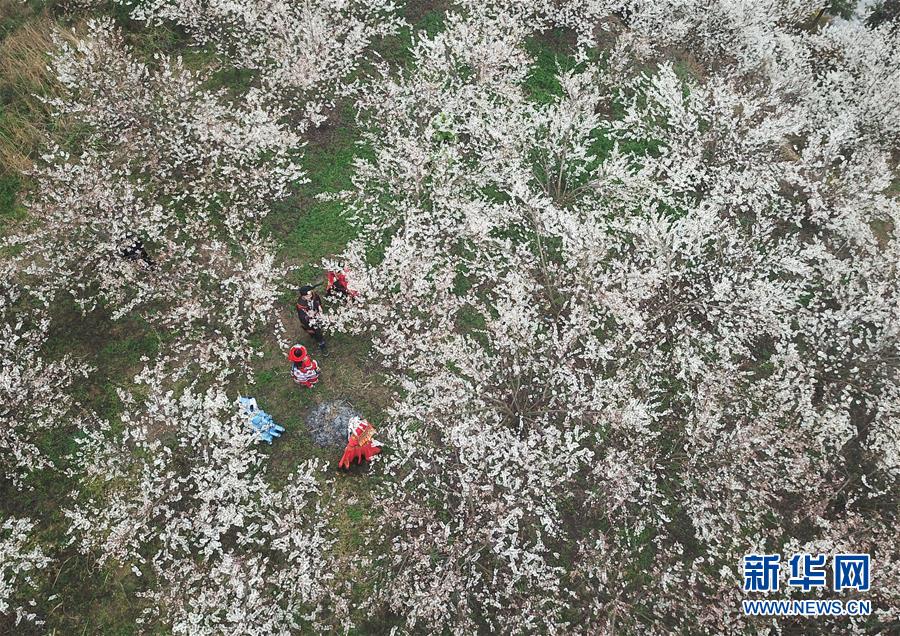 1020热点追踪：标肥价差走阔，猪价要反转了？