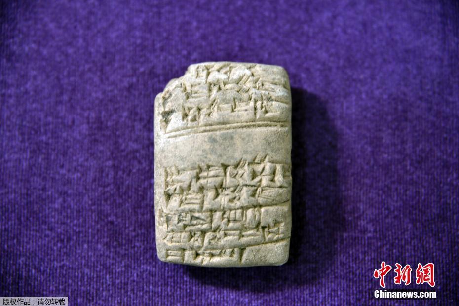 美国参议员沃伦：特朗普应于今日公布就业数据