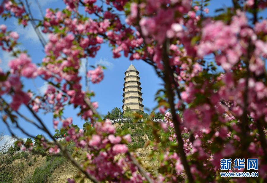 新西兰总理：将在数周内公布新西兰央行新行长