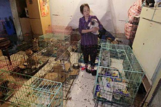 放生大蛇反遭锁喉